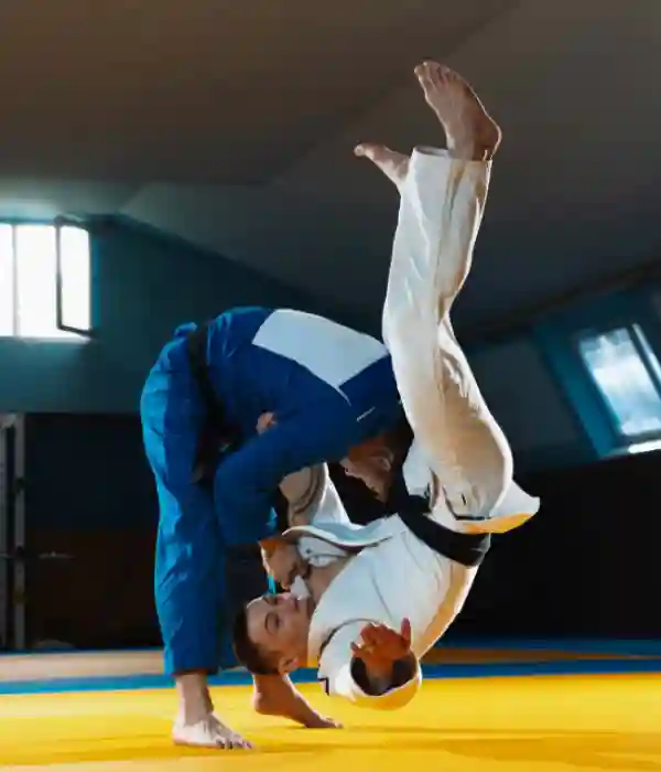 Premium Judo Mat Solutions Designed for Safety
