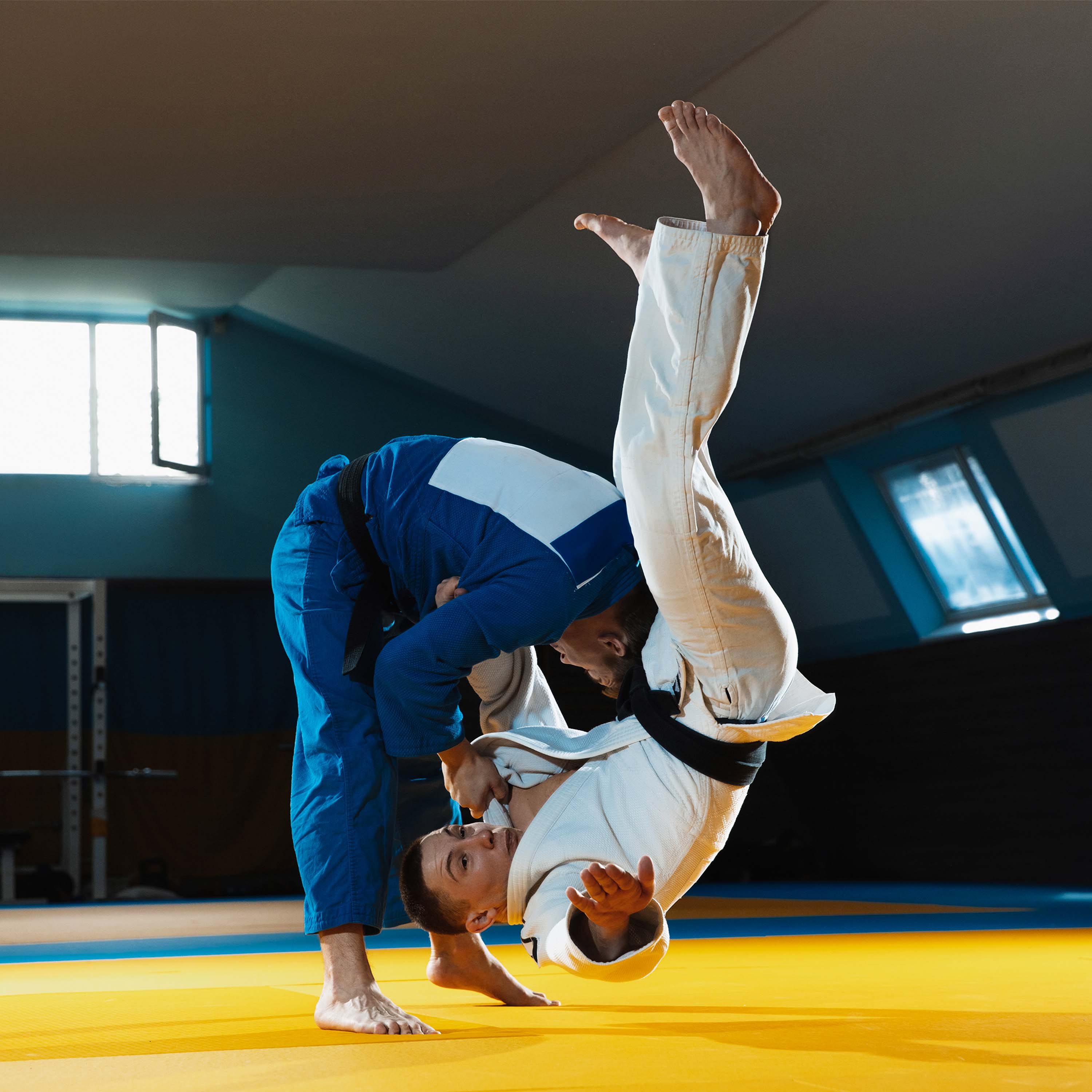 Gravolite Training Mats