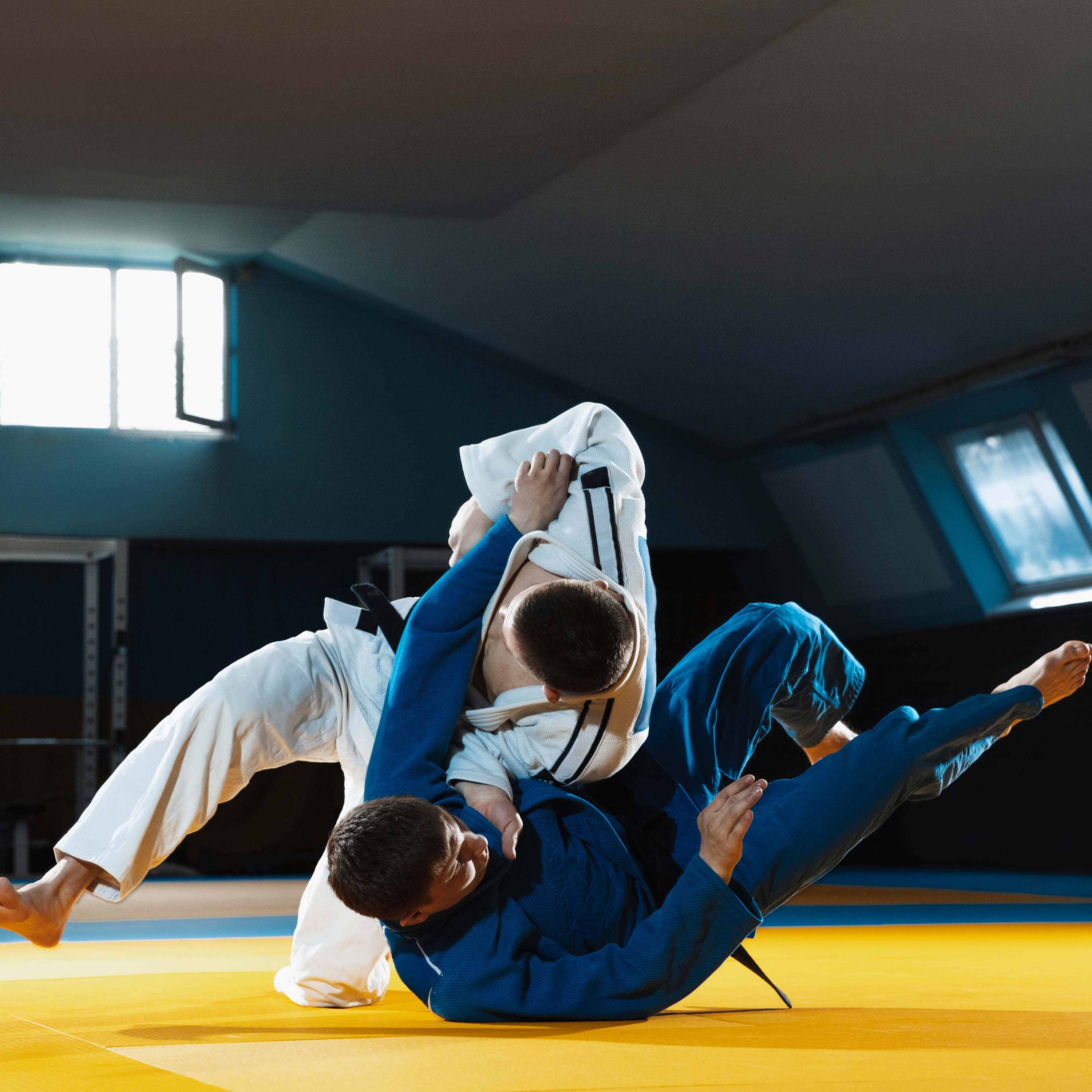 Gravolite Tournament Judo Mats