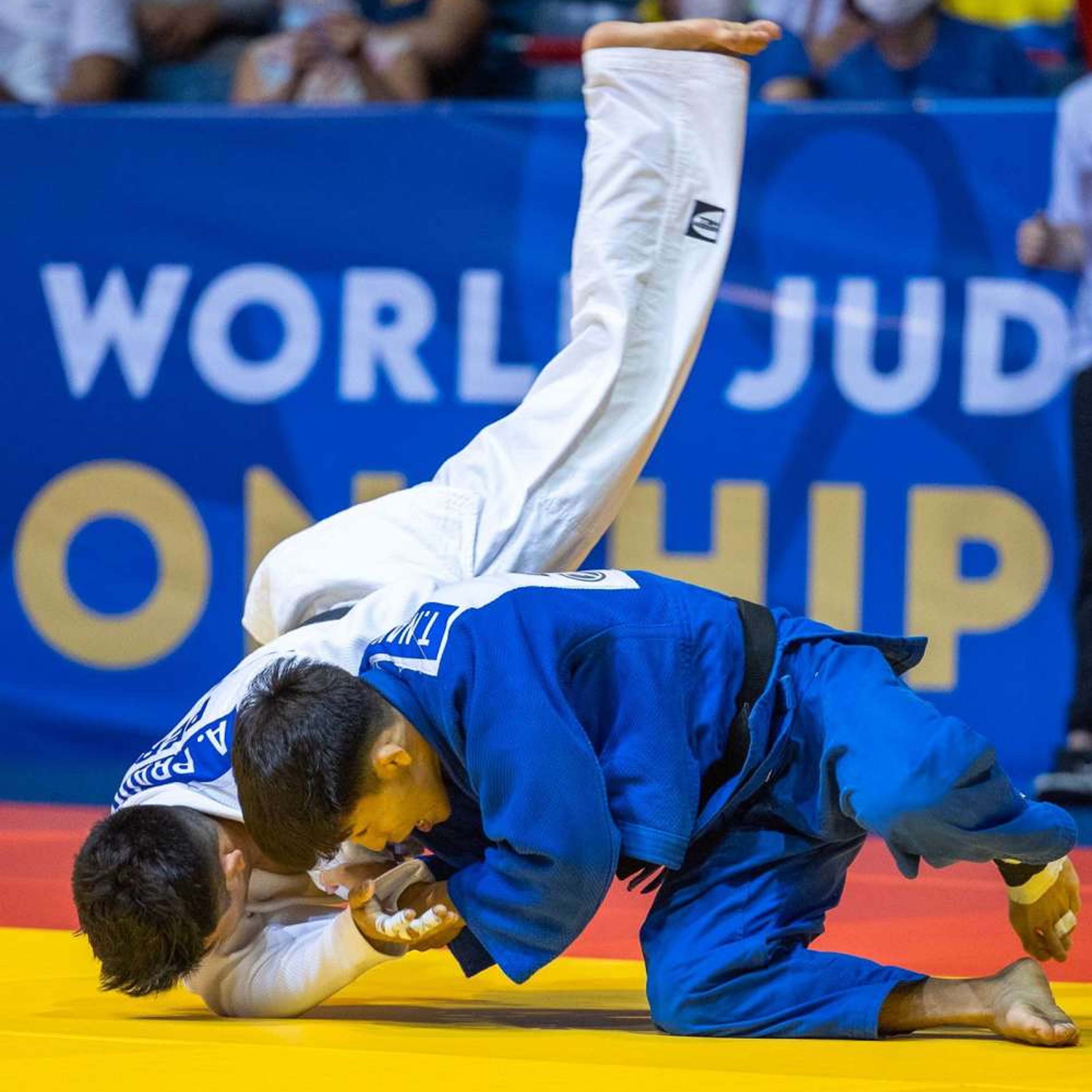 Competition Judo Mats