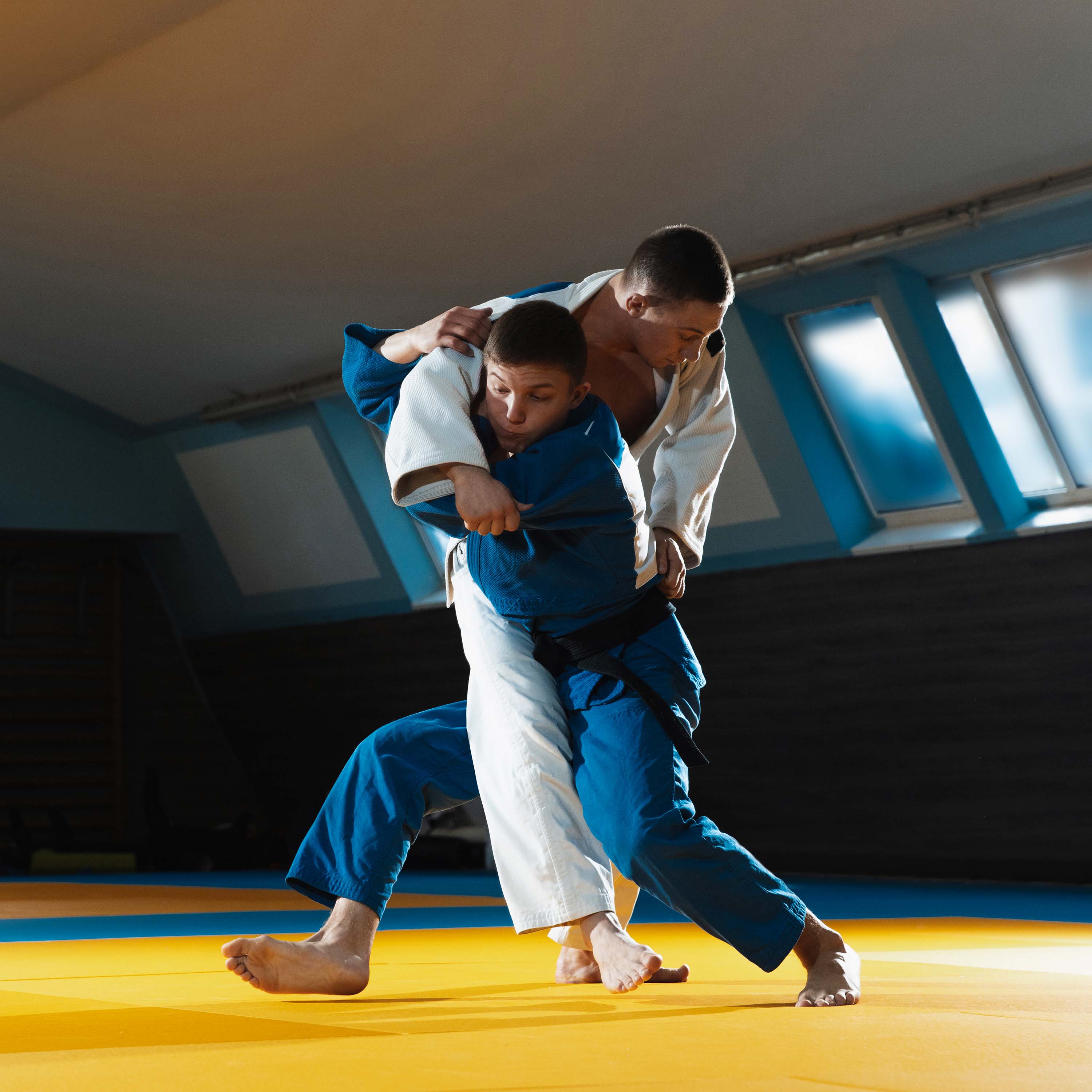 Judo Competition Mats