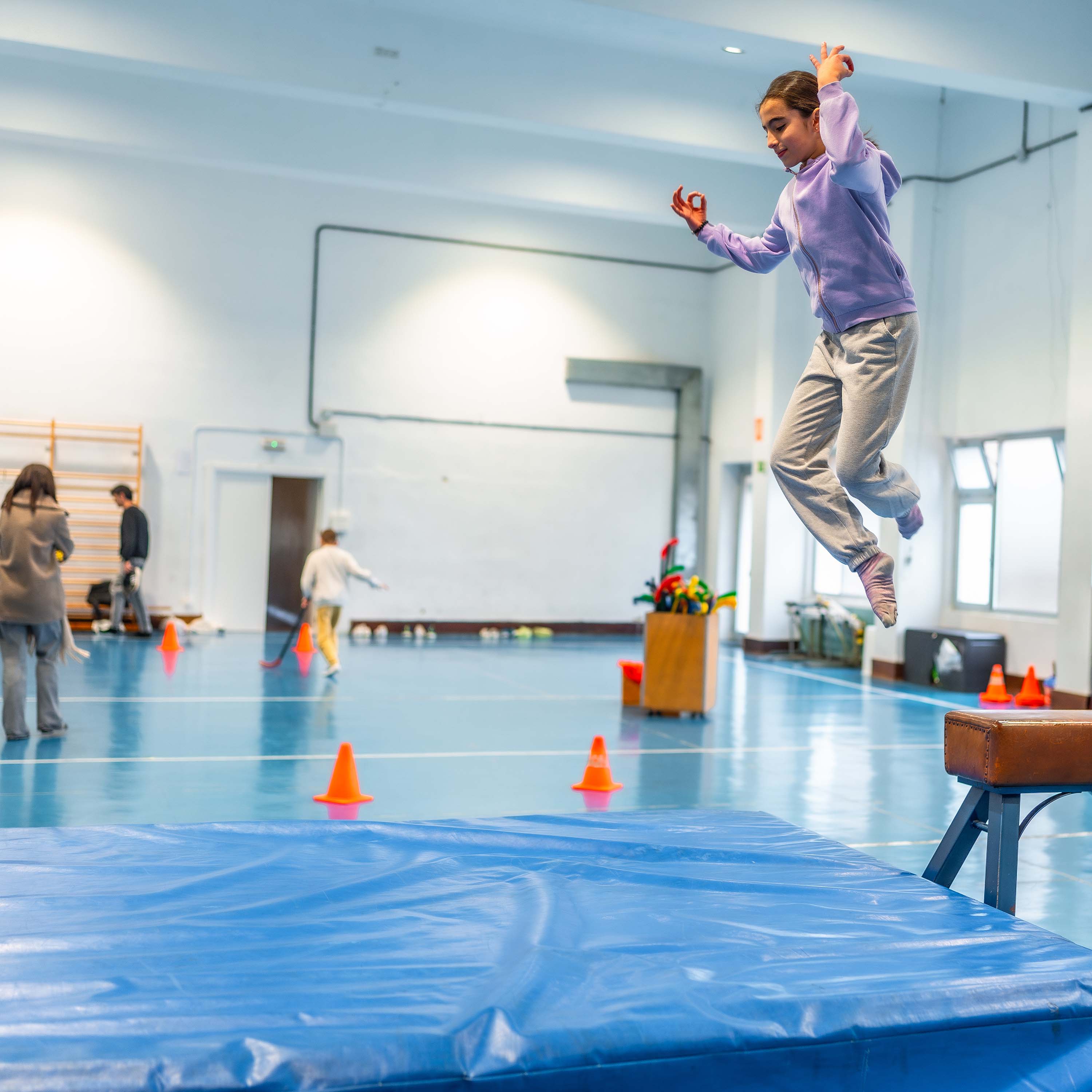 Gymnastics Crash Mats