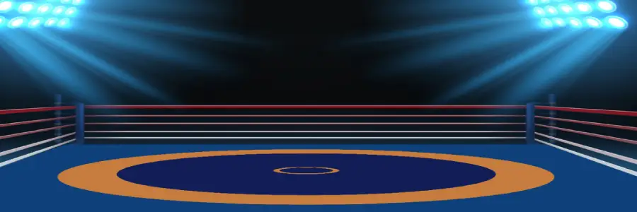 Wrestling Mat Supplier India